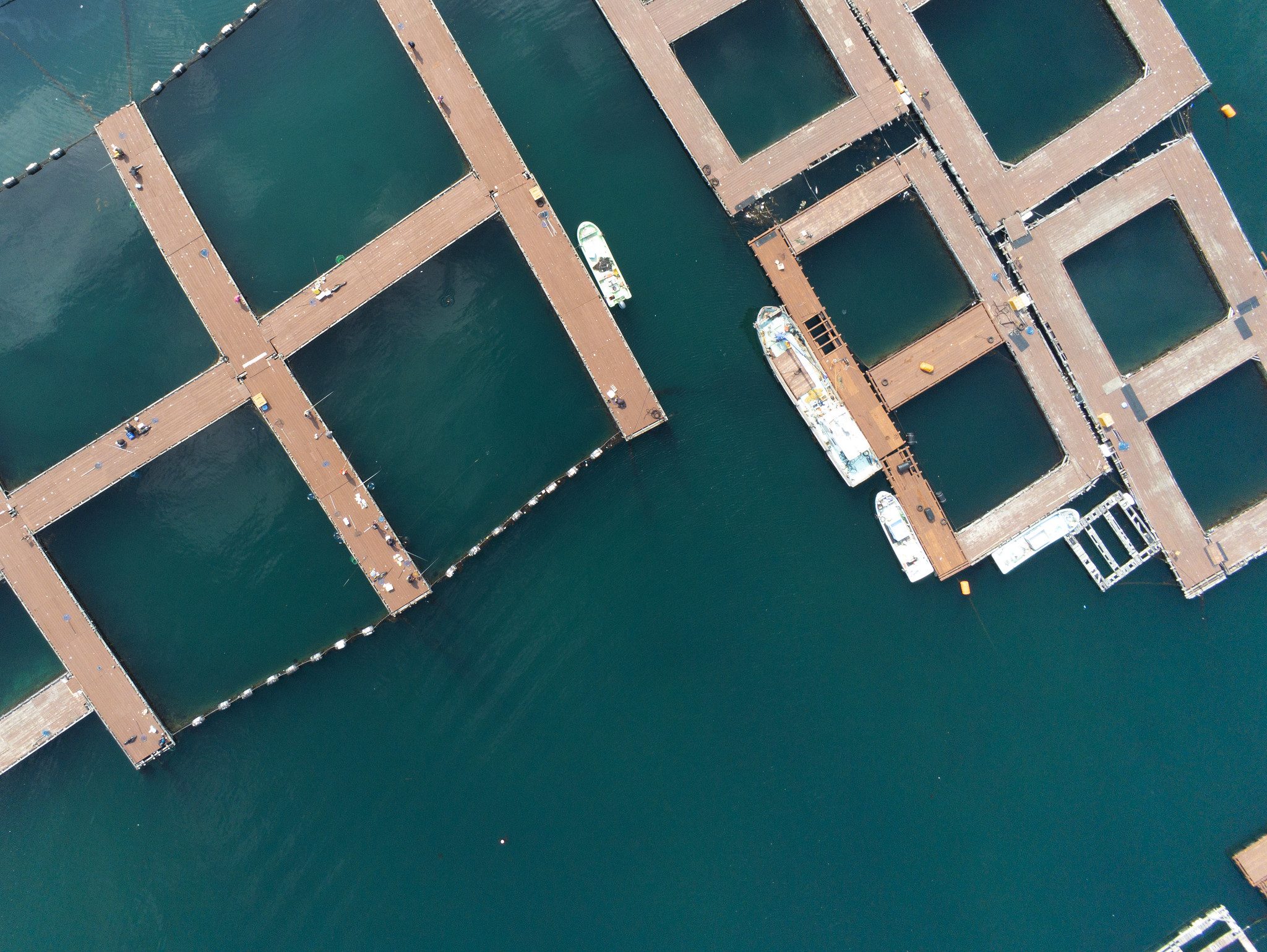 Picture of a fishing park, shot with Parrot Anafi