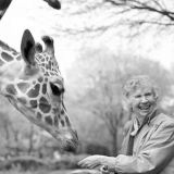 DJI Zenmuse Gimbal Camera Stabilizer Review